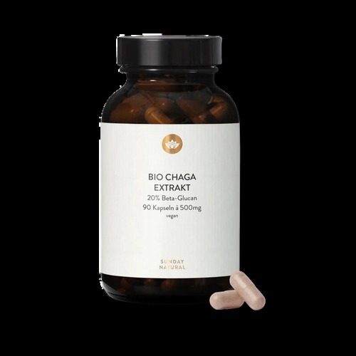 Sunday Natural Bio Chaga